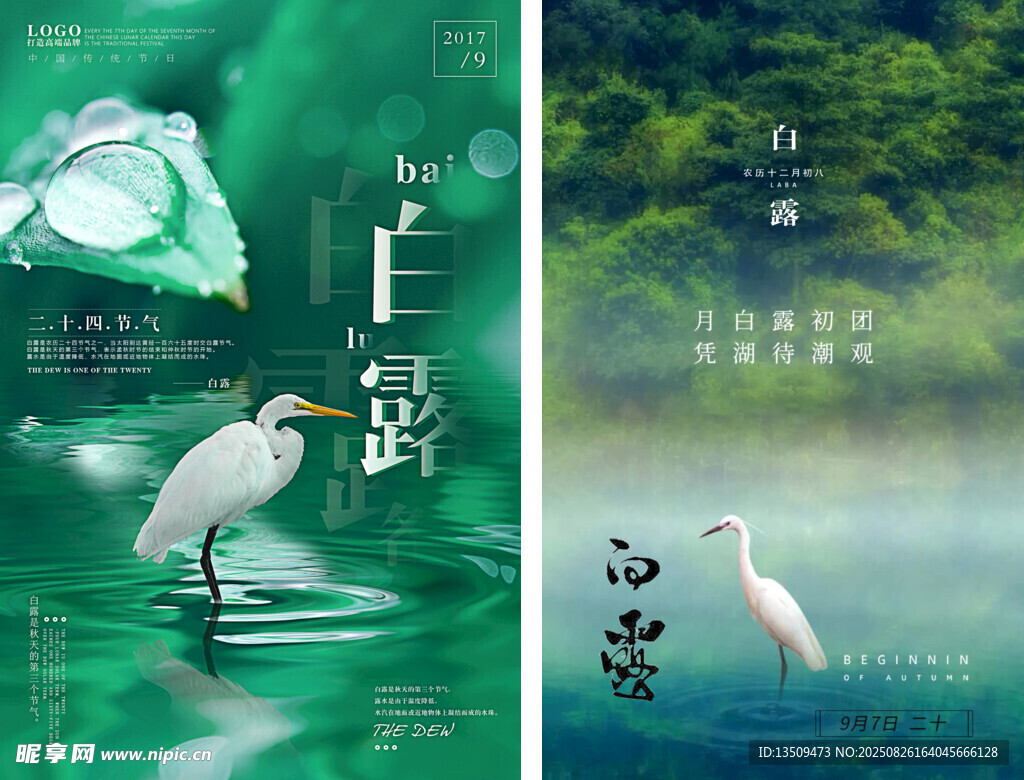 白露