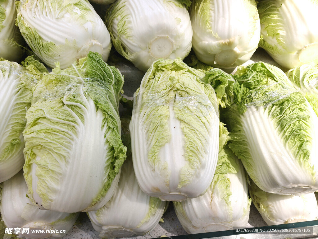 新鲜大白菜堆叠展示