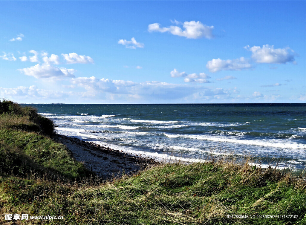 海边草地与翻涌海浪美景
