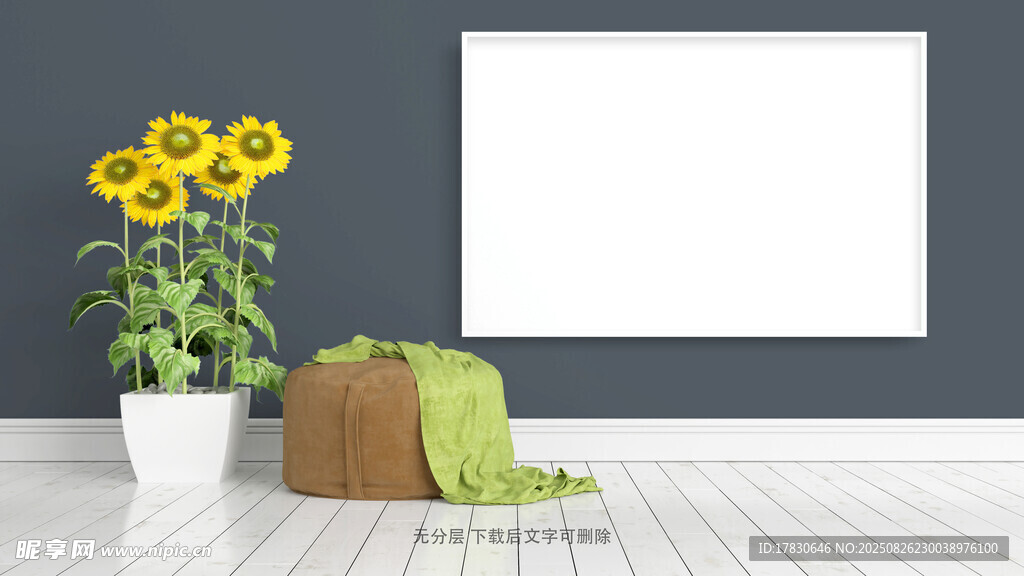 室内绿植与空白画框场景