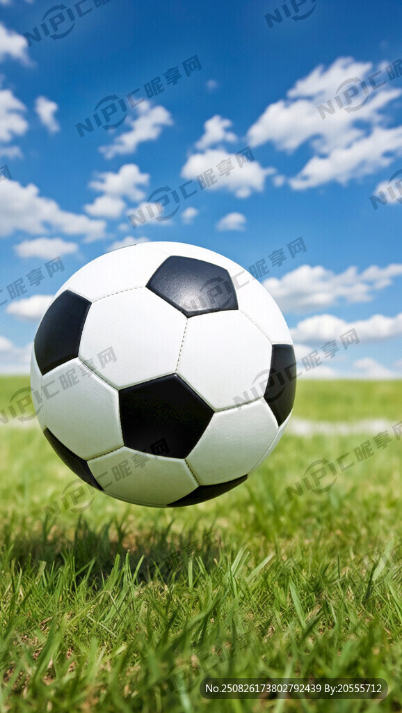 请生成足球运动