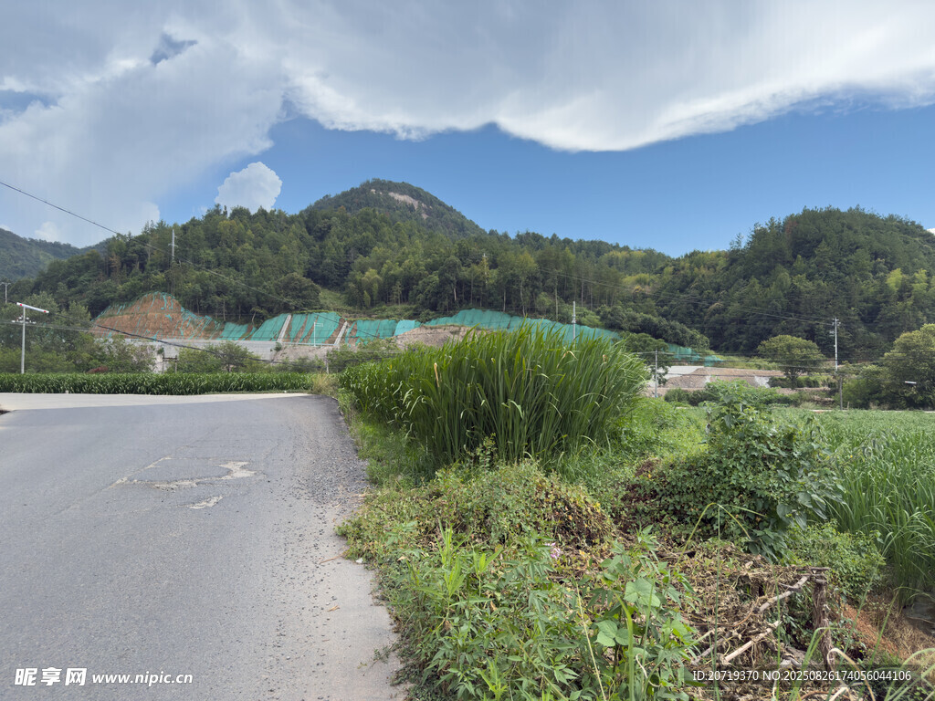 乡村公路旁的自然景致