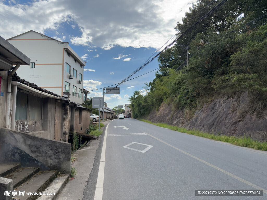乡村公路旁的宁静民居