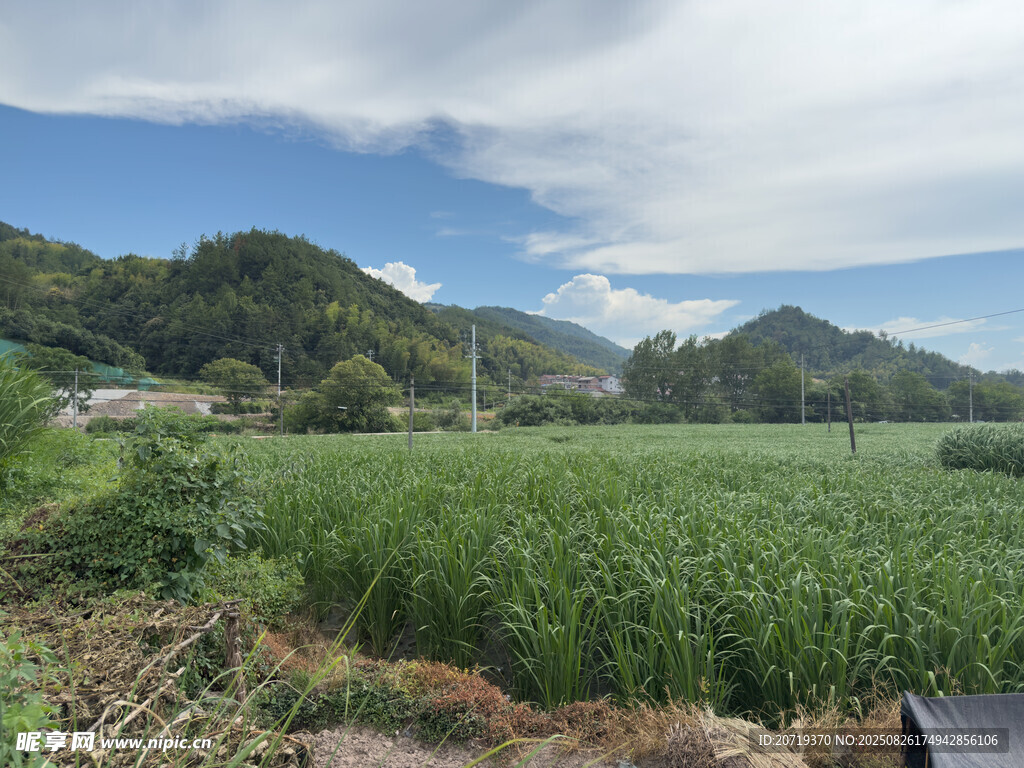 田园风光