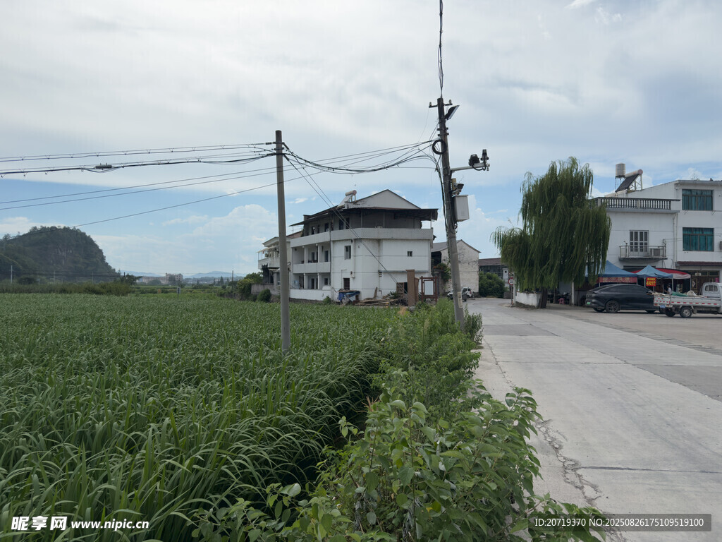 乡村田野旁的宁静道路