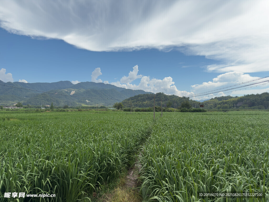 田园风光