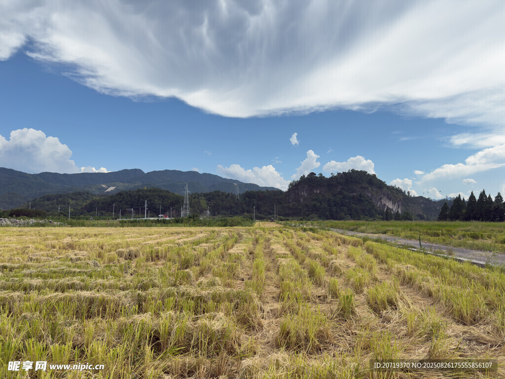 田野风光