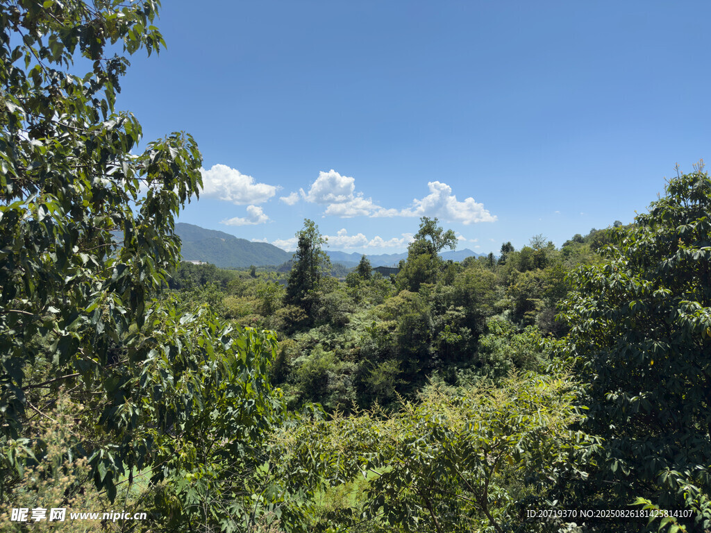 山林间的蓝天绿树美景