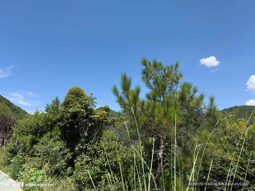 山间葱郁植被与蓝天美景