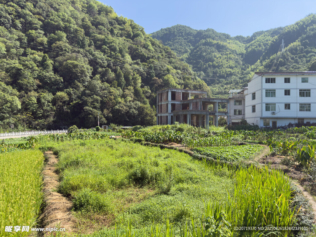 山间田野旁的村落景象