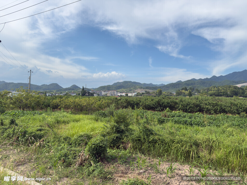 田园绿野风光