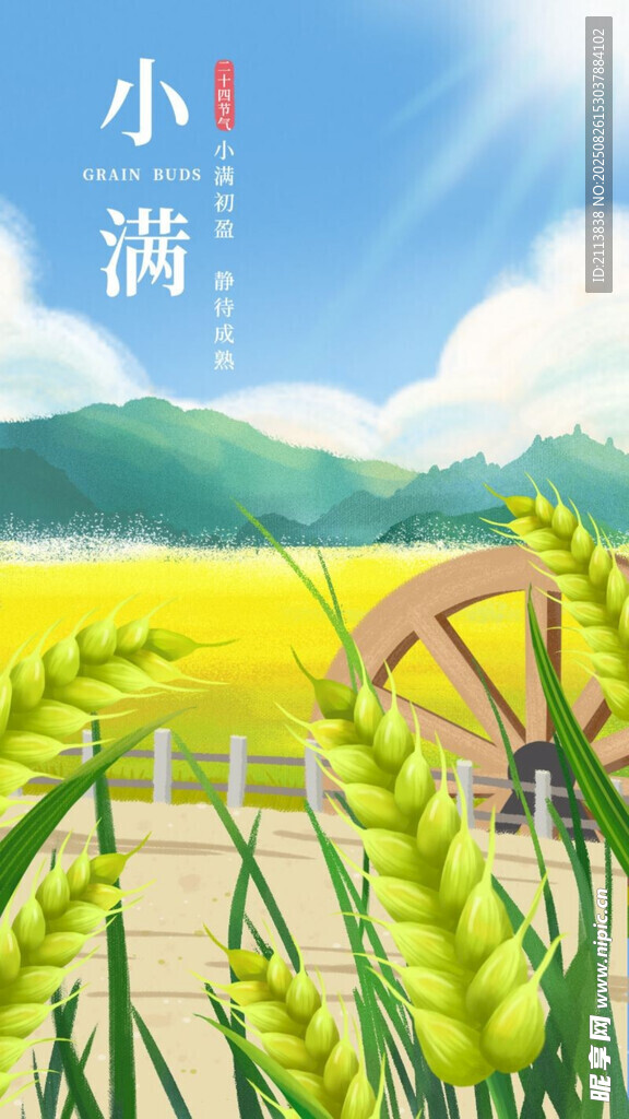 小满时节麦田风景图