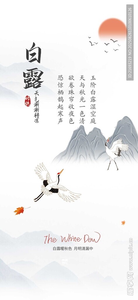 白露主题
