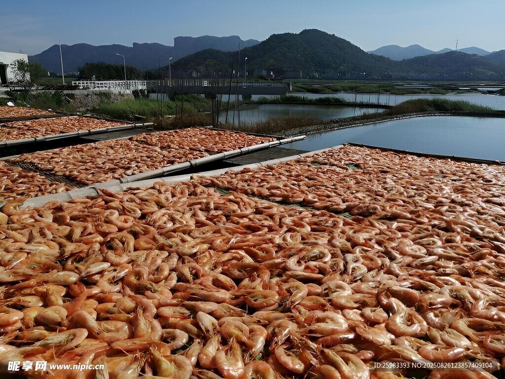 虾干