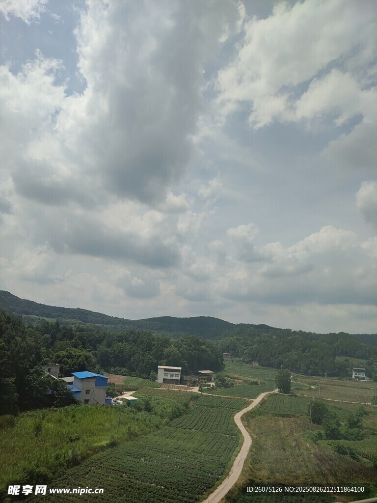 乡村田野间的蜿蜒小路