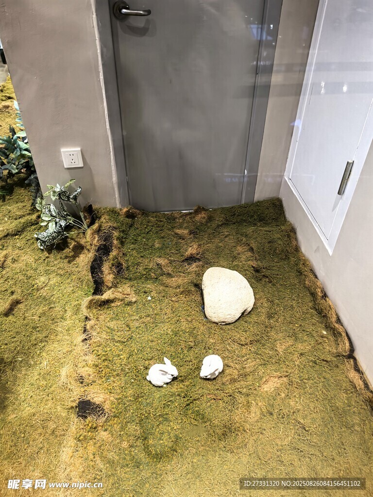 室内地面长草及杂物景象