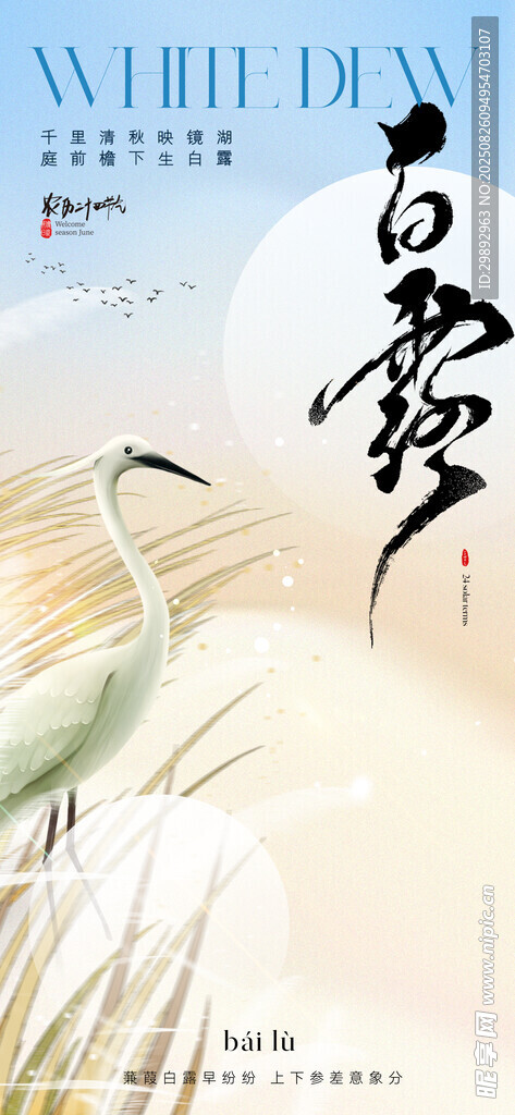 白露