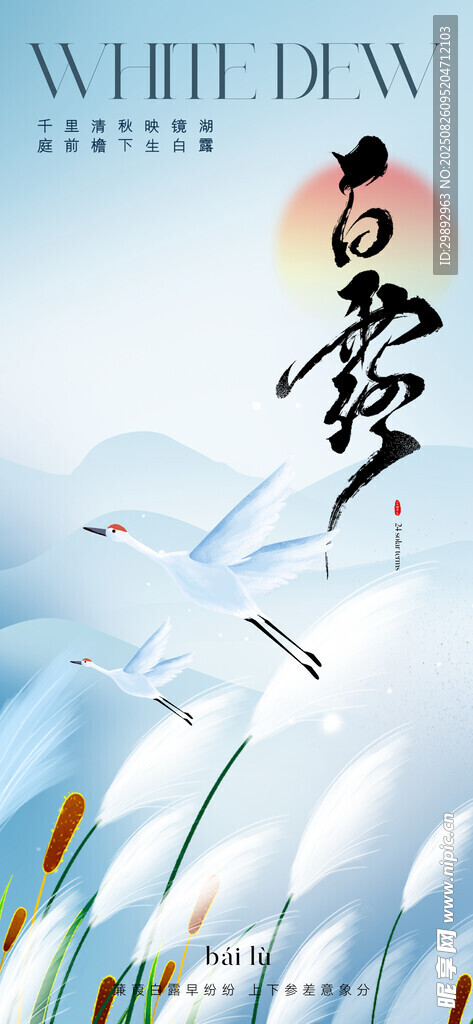 白露