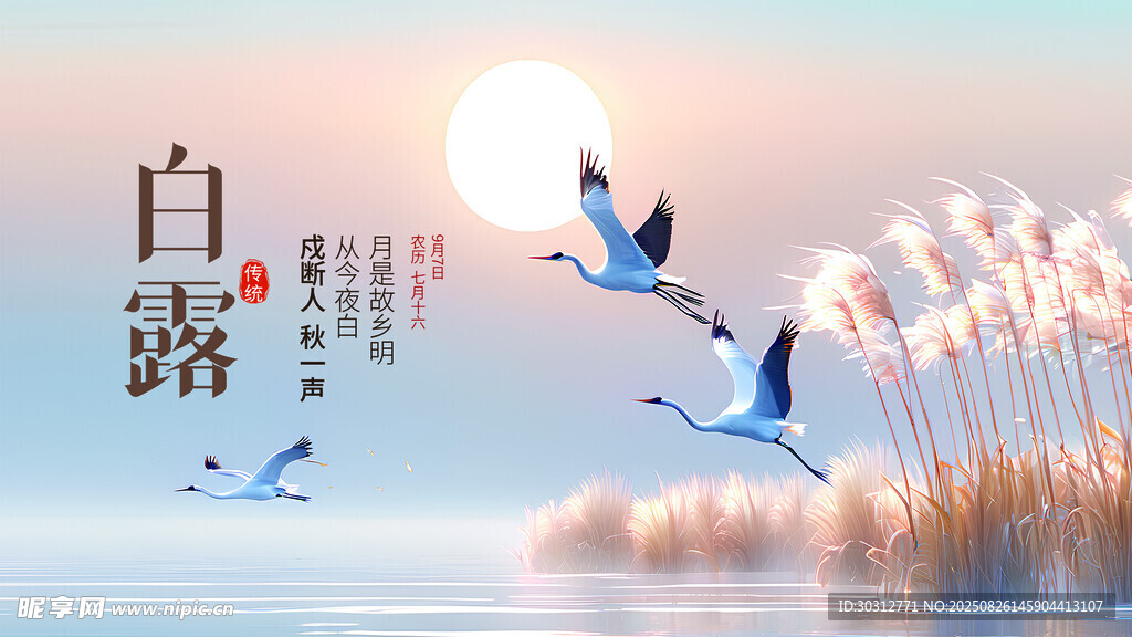 白露时节飞鸟芦苇美景