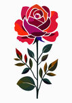 玫瑰花