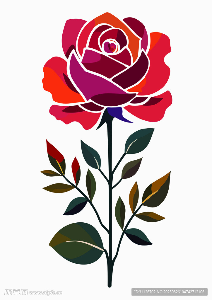 玫瑰花
