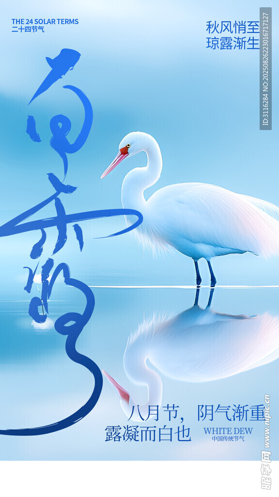 白露