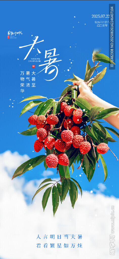 夏日荔枝图