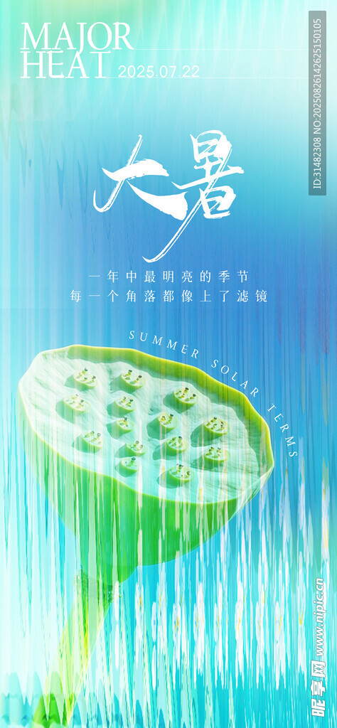 大暑节气插画海报