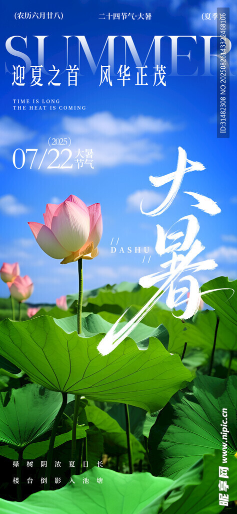 大暑海报