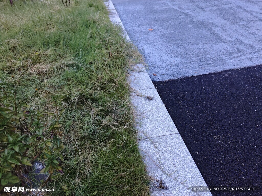 路边草地与沥青路面交界