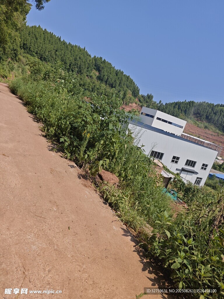 山间土路旁的白色建筑