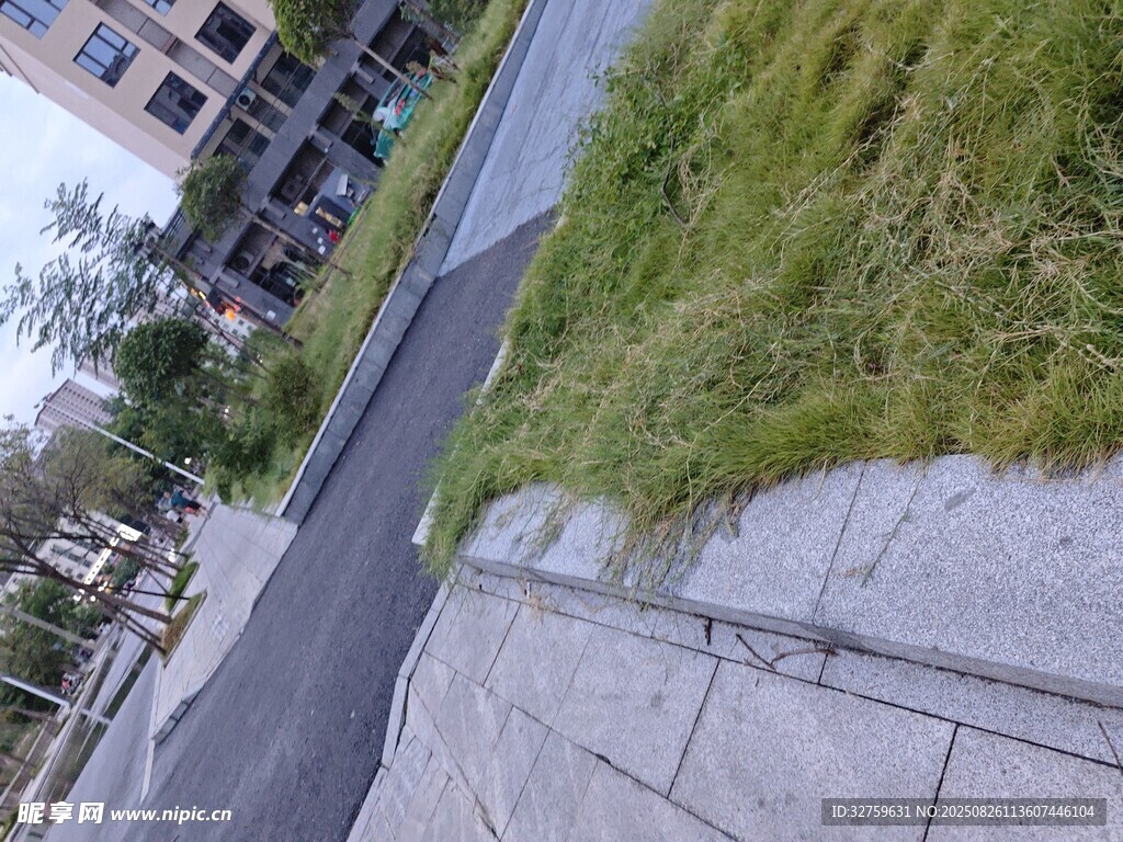 路边草地与道路景观