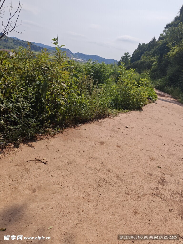 山间沙径