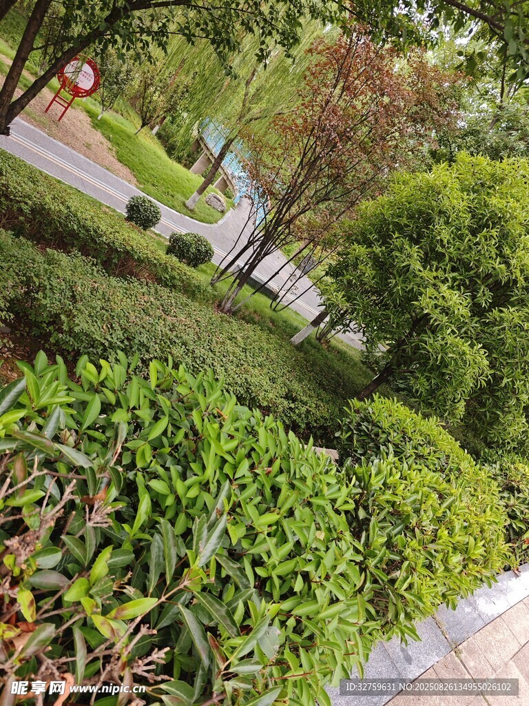 城市街边的多彩绿植景观