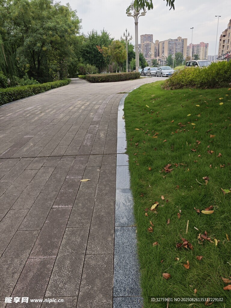 城市中的宁静林荫步道