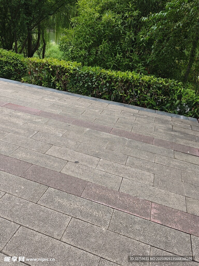 户外铺砖路面与绿植景观