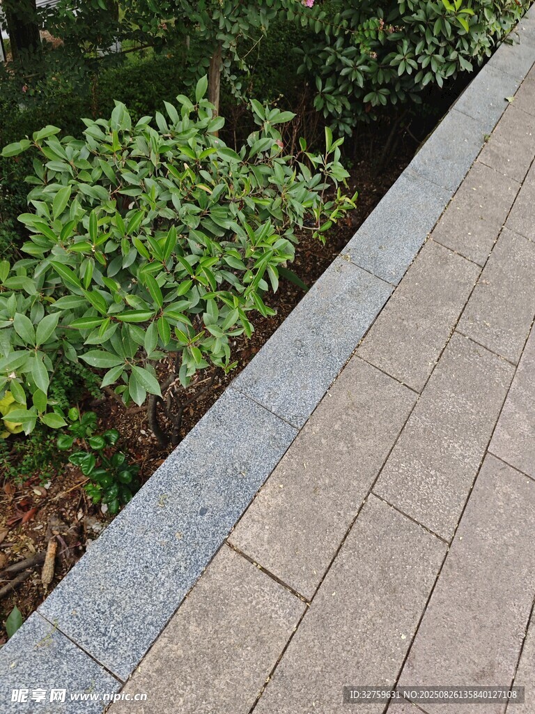 石板路旁绿植景观