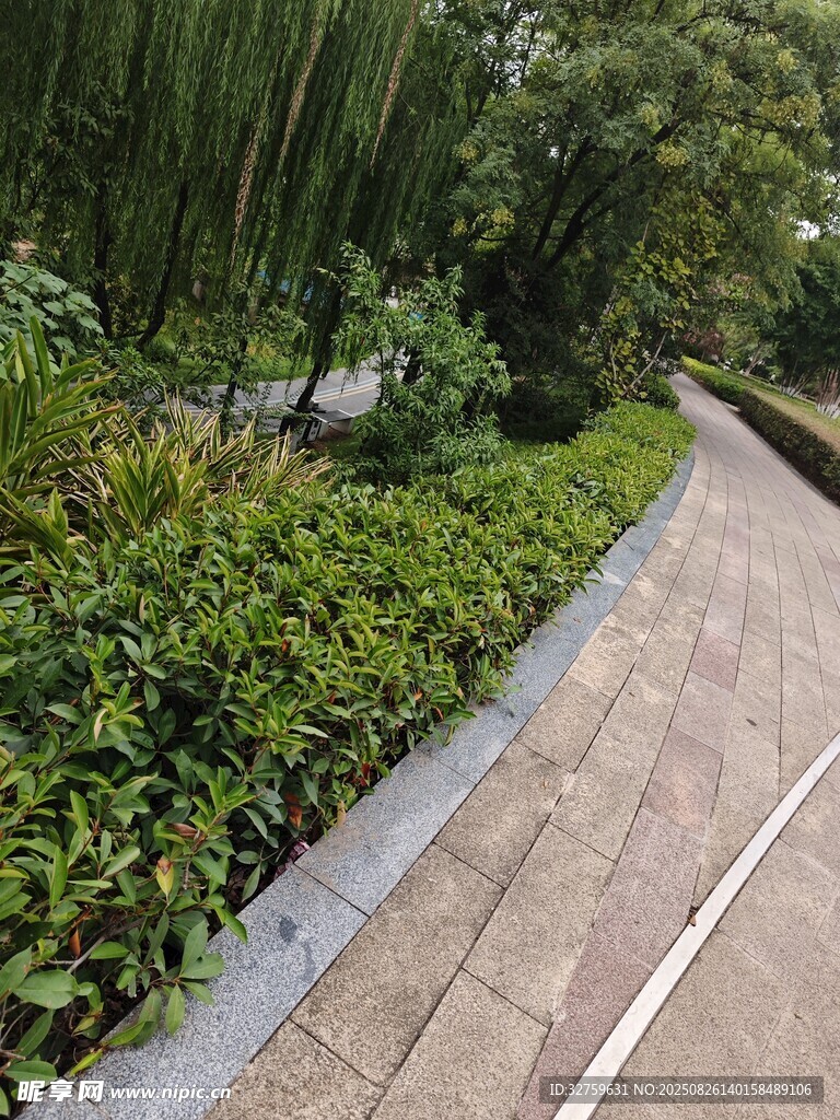 公园中的砖石小径与绿植