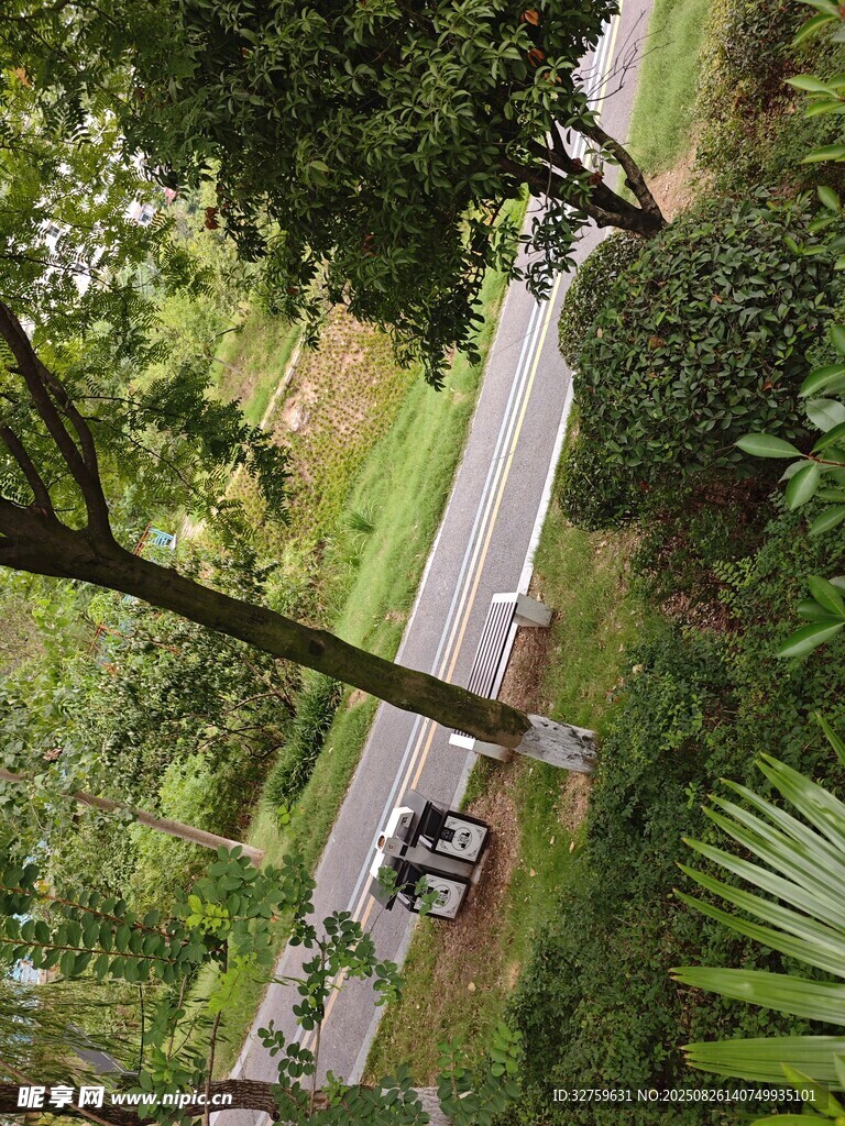 林间公路上的车辆穿行