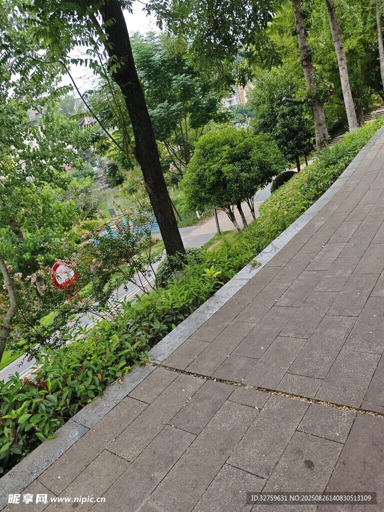 城市林荫步道景观