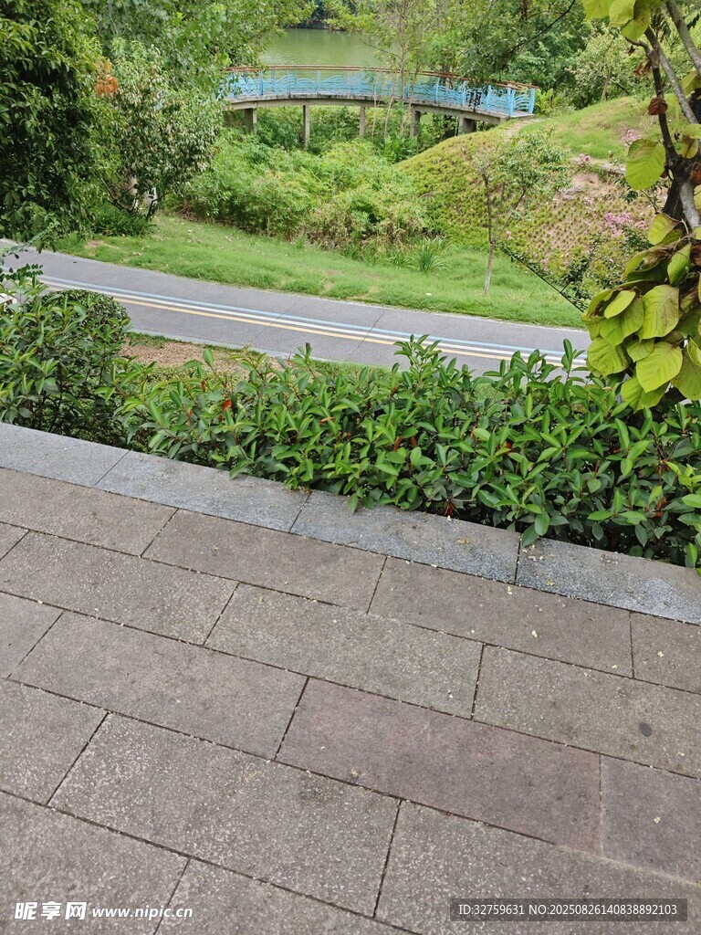 户外庭院绿植景观一角