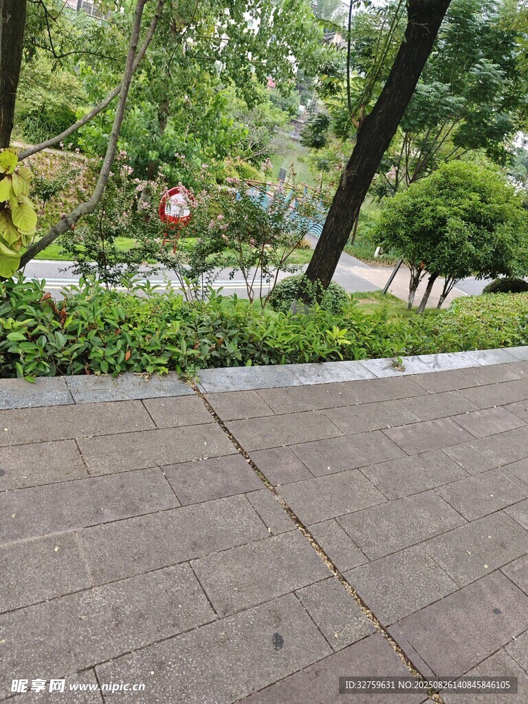 公园石板路旁的绿植景观