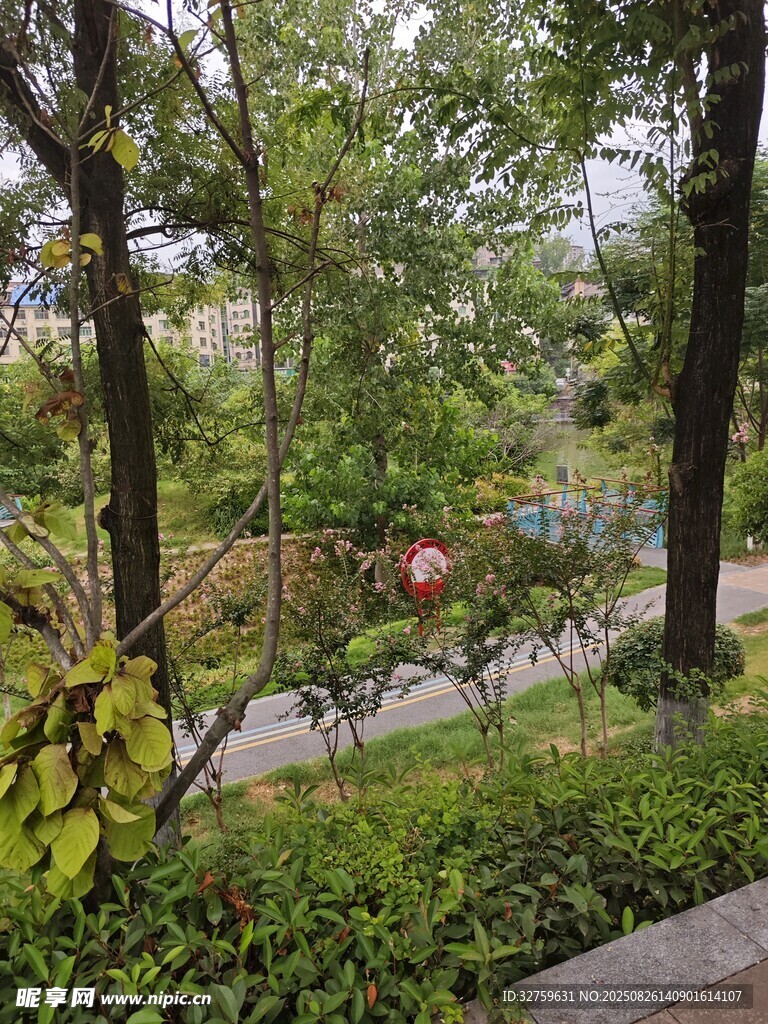 城市中静谧的绿植景观