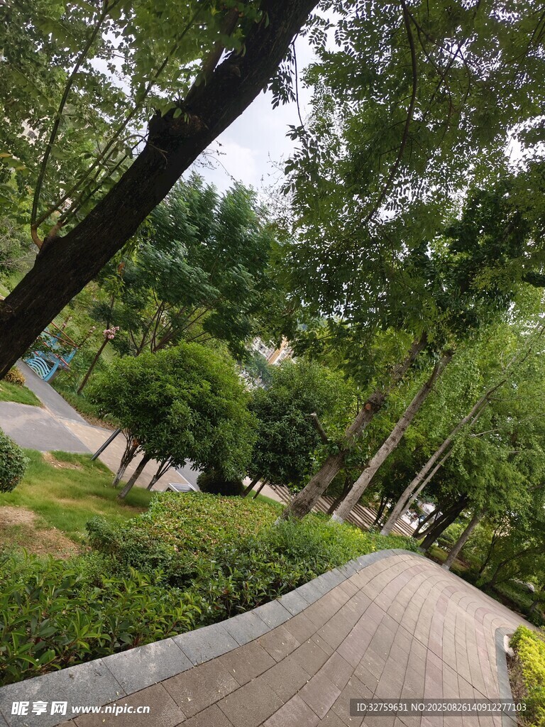 林间幽静小道 