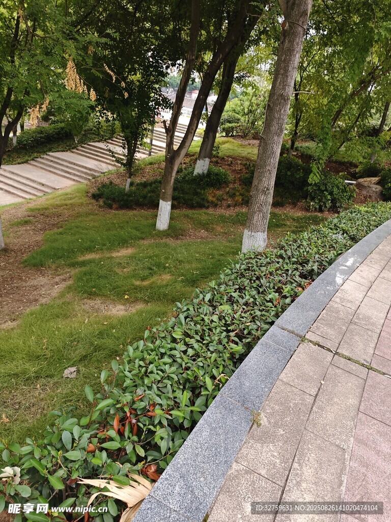 城市中的静谧林荫步道