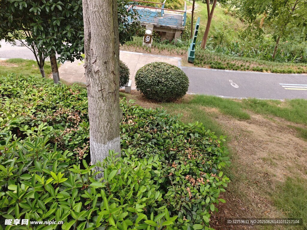 公园绿植景观一角
