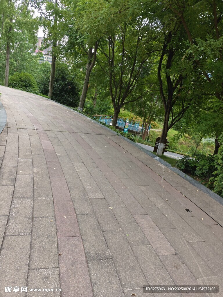 林间砖石步道 
