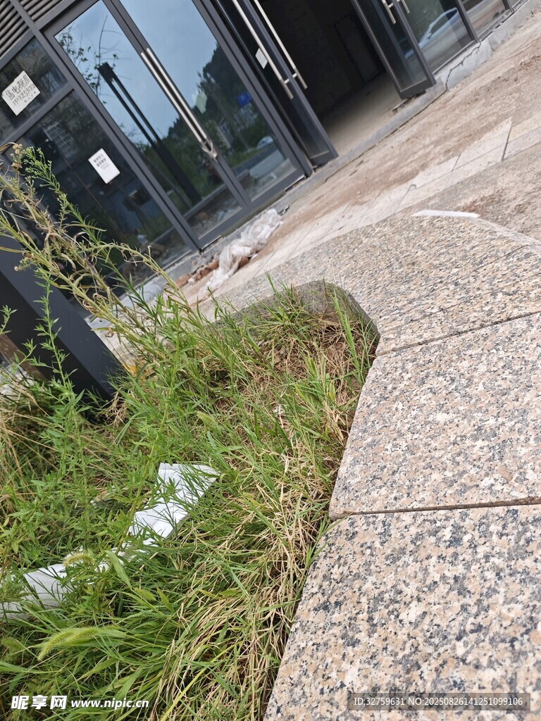 路边草丛中的垃圾
