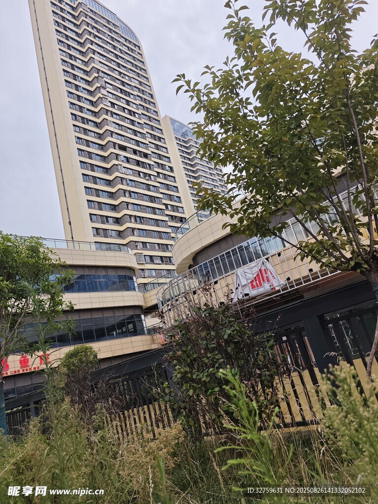 城市中高楼与绿植景观