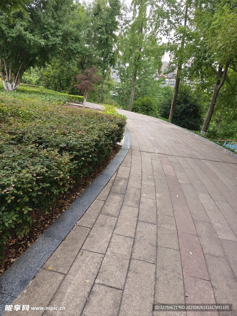 公园砖石小径 